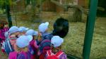 WP_20150514_025.jpg
