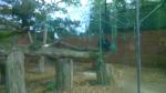 WP_20150514_026.jpg