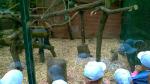 WP_20150514_027.jpg