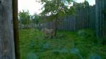 WP_20150514_030.jpg