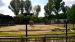 WP_20150514_033.jpg
