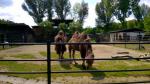 WP_20150514_034.jpg
